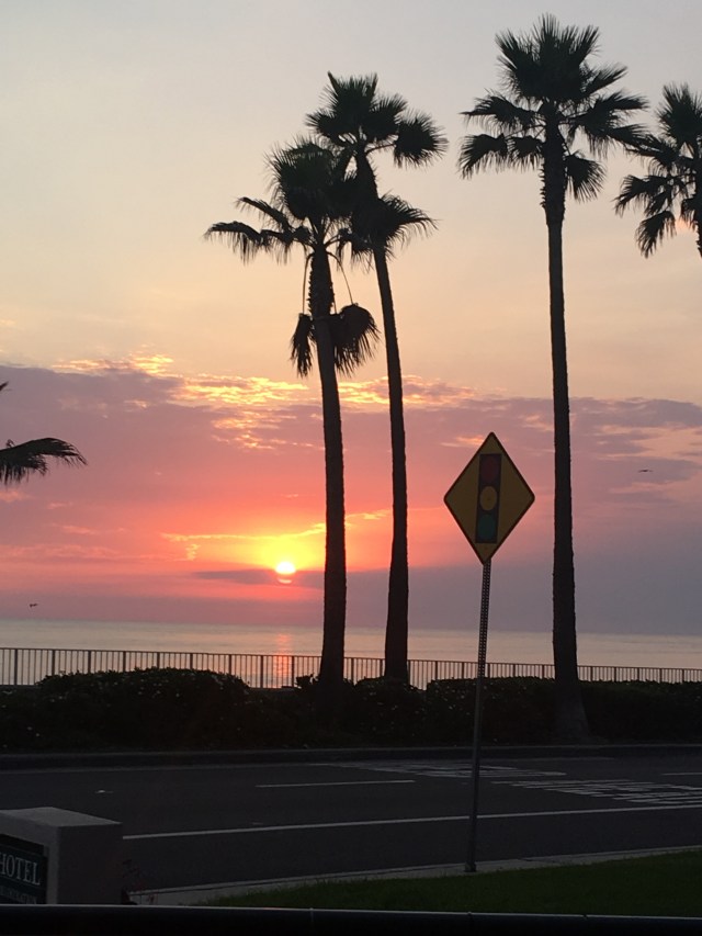 E891F402-B067-46A0-9DE2-15C939734176